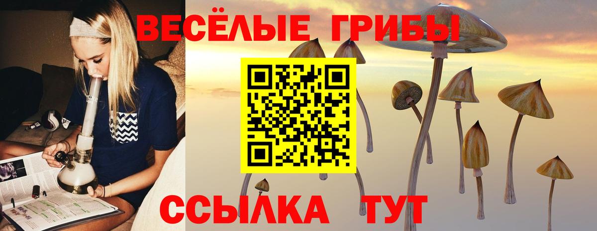 Казань  Псилоцибиновые грибы мухоморы  Вход с VPN 
